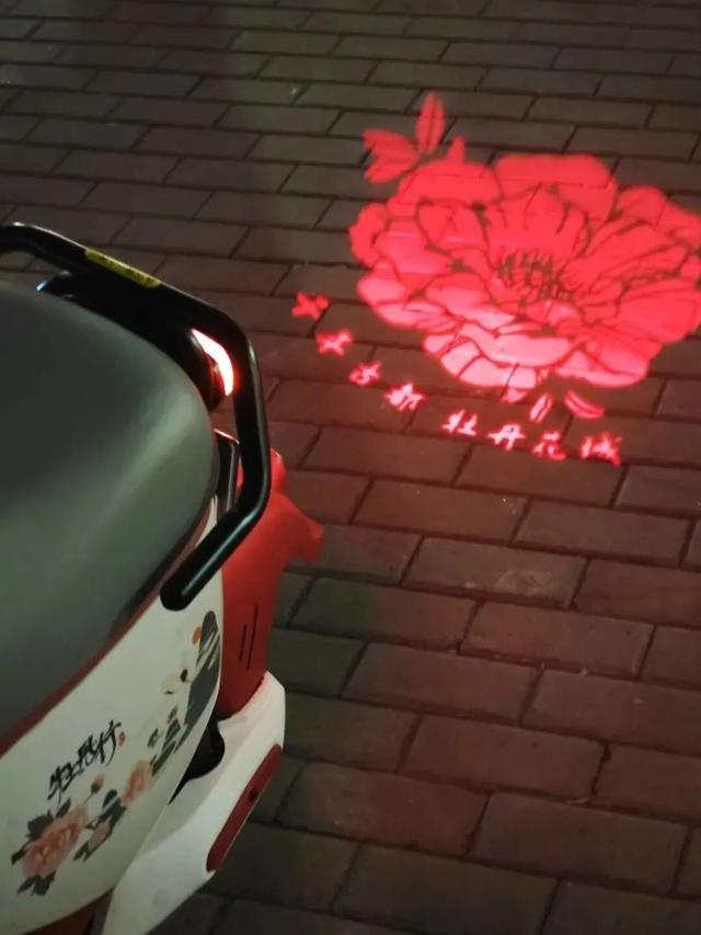 没有一朵花瓣能飘出洛阳