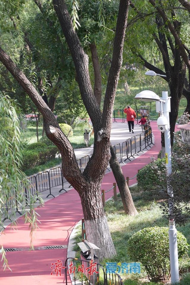 一年四季 泉在济南丨泉城公园秋景如画 晴日漫步赏秋享惬意