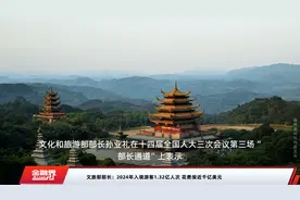 文旅部部长：2024年入境游客1.32亿人次 花费接近千亿美元视频封面
