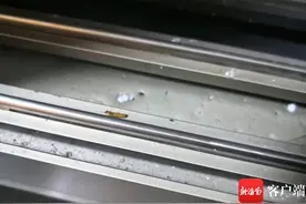 海口部分小区遭白蚁“侵袭” 专家：物业和居民要做好消杀防治图片