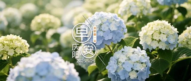 早安庆阳丨重要提示