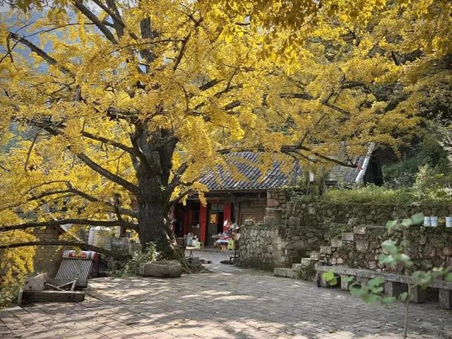 秋游贵州  开启一场康养之旅