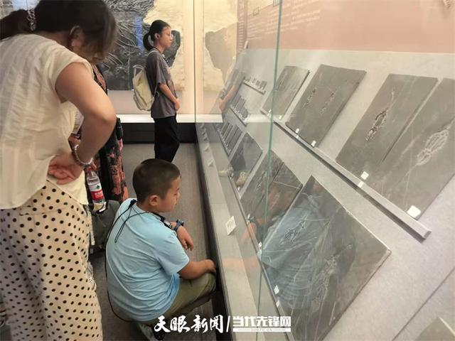 日均接待游客破万人次！贵州省地质博物馆暑期研学游火爆