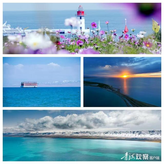 快来！青海湖的秋天不只有美景