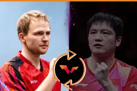 樊振东马龙陈梦WTT福冈总决赛退赛图片