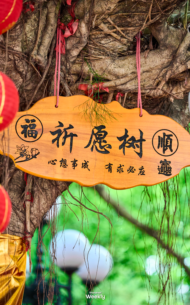“这条路线，建议深圳人都去一遍”