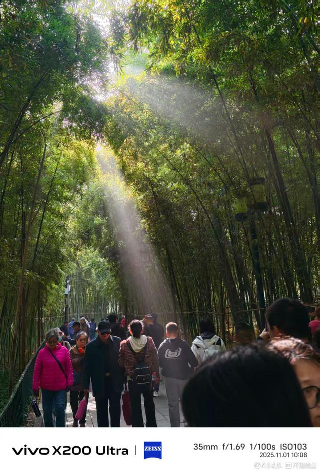 趵突泉公园里游人如织，我在记录