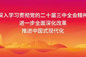 关于2025年四会市城区公办学校七年级可供积分入学学位数的通告图片