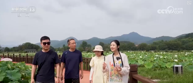 “凉爽+产业”拉动消费“花”样翻新，“荷”你相遇让老产业焕发新活力