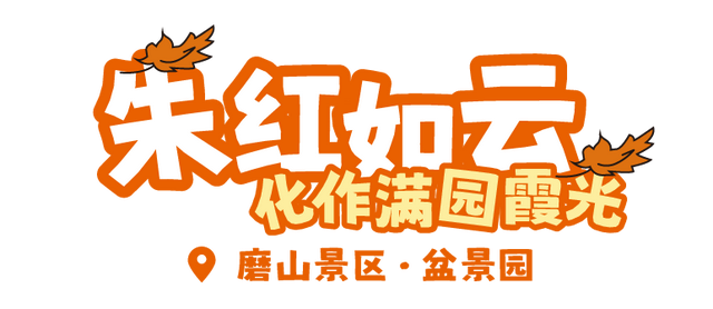 东湖这四处绝美秋景，出片率100%