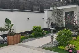 茂名滨海新区：美丽庭院催生“美丽经济”图片