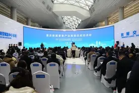 重庆数据要素产业集聚区在长寿启动建设图片