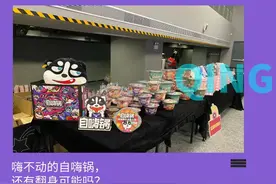 自嗨锅，还是没活成康师傅的样子图片