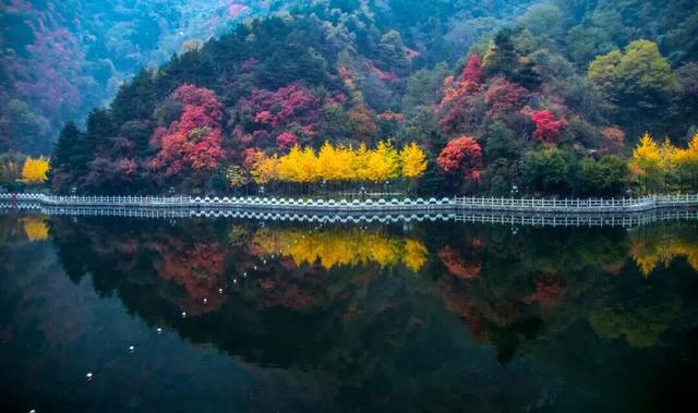 冉冉秋光色，今日又重阳！快用一场登高赏景晒一晒潮湿的心情~