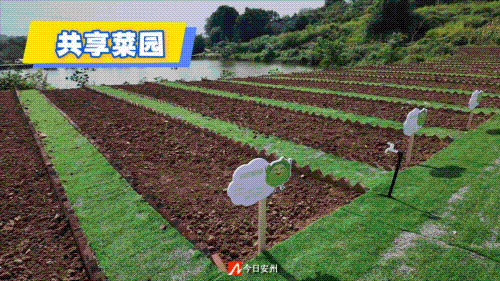 金秋有礼 绵阳有你 ‖ 国庆来安州，四大主题玩法，畅享八日悠闲！