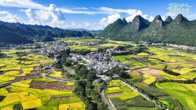 秋景·黔西南｜此情此景，此城一片秋