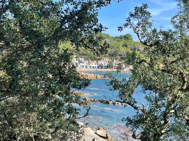 西班牙旅行随笔之加泰罗尼亚（上）