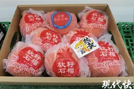 石榴红了！果中“红宝石”在南京上市热销图片