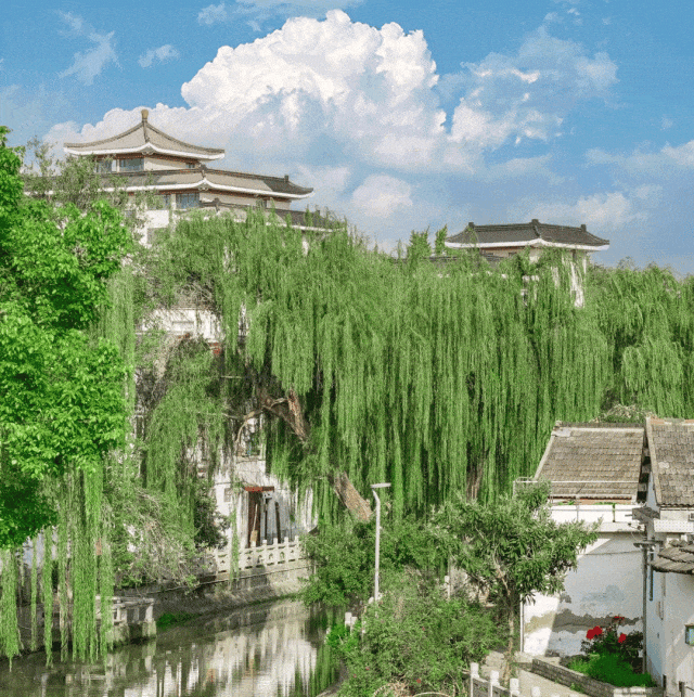 研学“趣”扬州｜ 秋游招募！千年微光指引，从天宁寺到唐槐的文化漫步