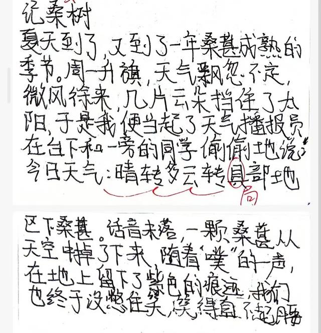 当一个老师决定放弃给学生写评语 | 重新遇见语文课⑨