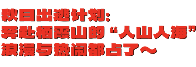 官宣：栖霞山进入最佳观赏期！