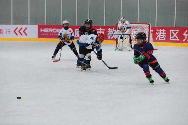 去什么北海道，冬日里的威海不是“平替”，是天花板！