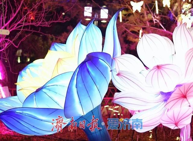 一年四季 泉在济南丨迎春花灯亮化测试，五龙潭公园点亮“花涧秘境”