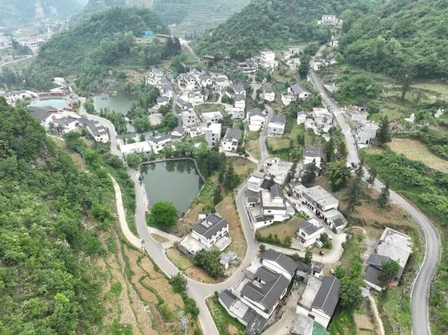 消失的它，又回昭通了