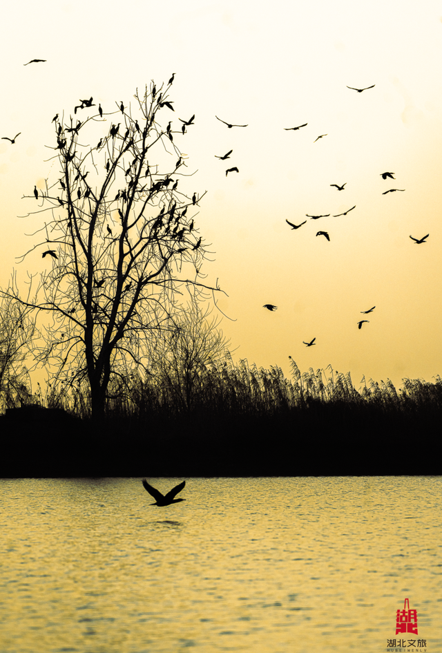 玩转湖北冬日！带你热“雪”沸腾！