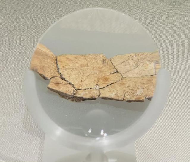 宝鸡青铜器博物院：天命在周还是在秦？丨从长安到敦煌（3）