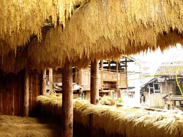 全国最没有“班味儿”的地方