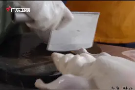 广东珠海非遗之一——琵琶鸭，名扬海外，形似琵琶图片