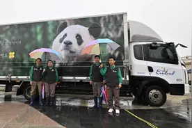 外交部：欢迎“福宝”回国，感谢韩方精心照顾