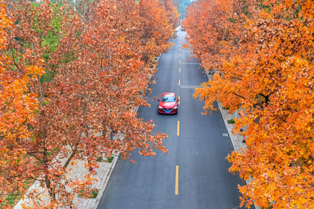 美翻了！南湖，正是红橙黄绿时