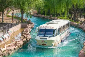 银基动物王国超值年卡面向全国游客开售！最低价仅为门票七折图片