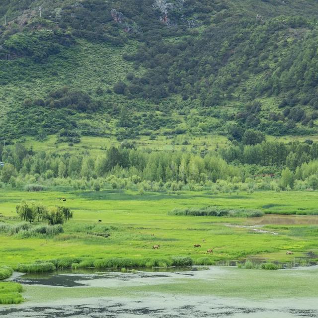 【冬季暖阳 凉山不凉】最全美食美景旅行攻略出炉！第一次来泸沽湖旅游必看！