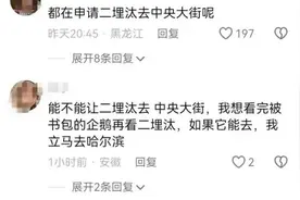 “二埋汰”竟成了东北虎里最红的仔！网友喊它上中央大街走走图片