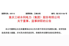 重庆三峡水利电力（集团）股份有限公司副董事长刘赟东、董事徐梓曜和监事陈涛辞职图片