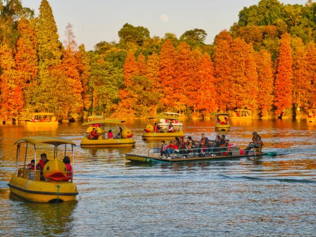 游客量全国第22！元旦假期，星湖景区，超火！