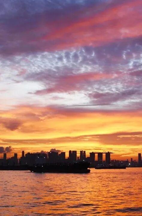 准备拍照！七夕，天边为您烧出限定版“玫瑰海”！