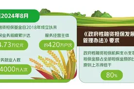 规范政府性融资担保机构行为图片