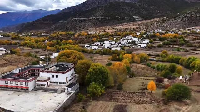 它都这么美了！差点忘记推给你了