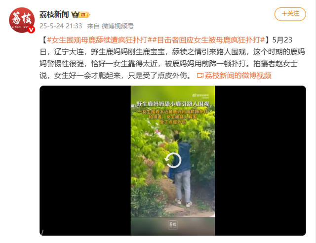 女子自曝观赏梅花鹿时让孩子骑鹿，引发网友争议