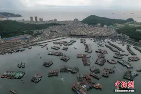 南海开渔前夕 广东闸坡渔港千帆待发图片