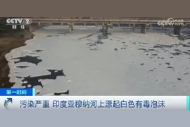 印度首都河面漂浮大量毒泡沫图片