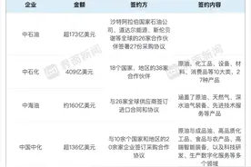 能源央企千亿“扫货”燃气轮机、绿色灯塔项目，这些低碳好物受追捧| 进博会新机遇图片