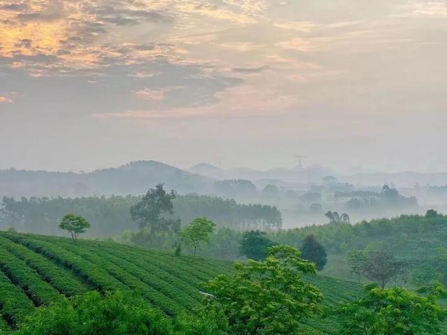 看戏游南宁，福利享不停！首届全国戏曲新人新作展演超全优惠指南来啦！