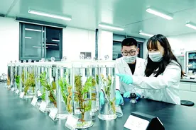 嵩县：创新统战同心优势助企发展图片
