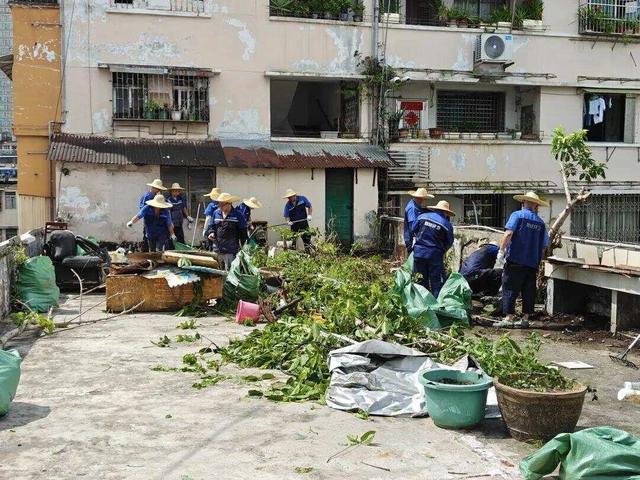 广州硬核“扫楼”！“无人机+吊机”完美搭档，清扫天台蚊虫孳生地