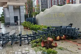 海南一学校大门被吹垮，老师：活了50多年没见过这么大的风图片